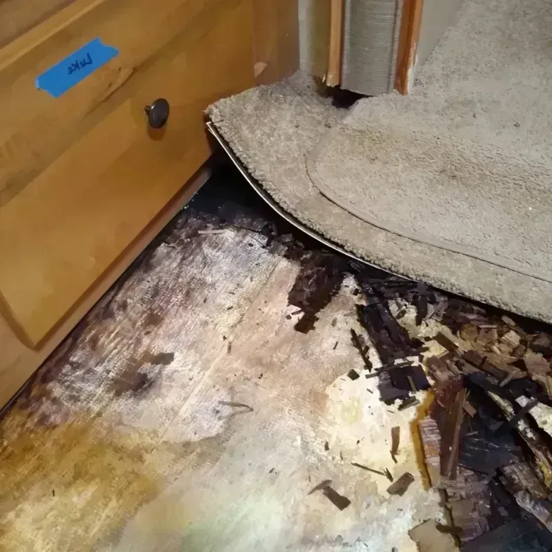 Wood Floor Water Damage in Winnett, MT